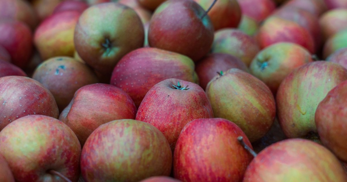 Apples storage guide — how long it lasts