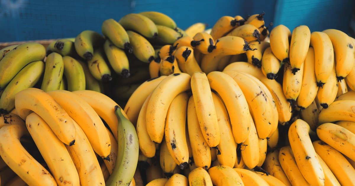 Bananas storage guide — how long it lasts