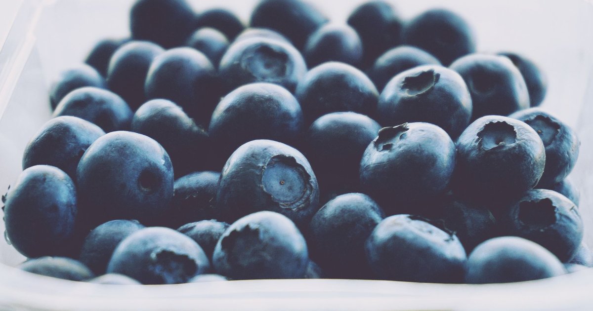 Blueberries storage guide — how long it lasts
