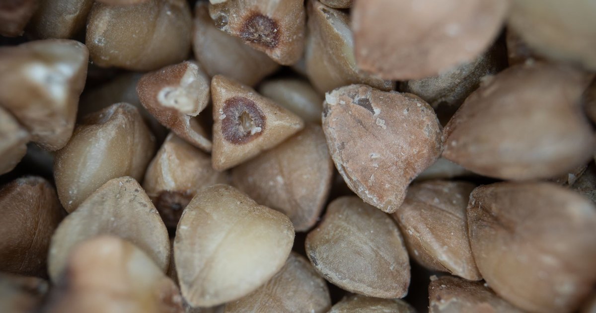 Buckwheat storage guide — how long it lasts