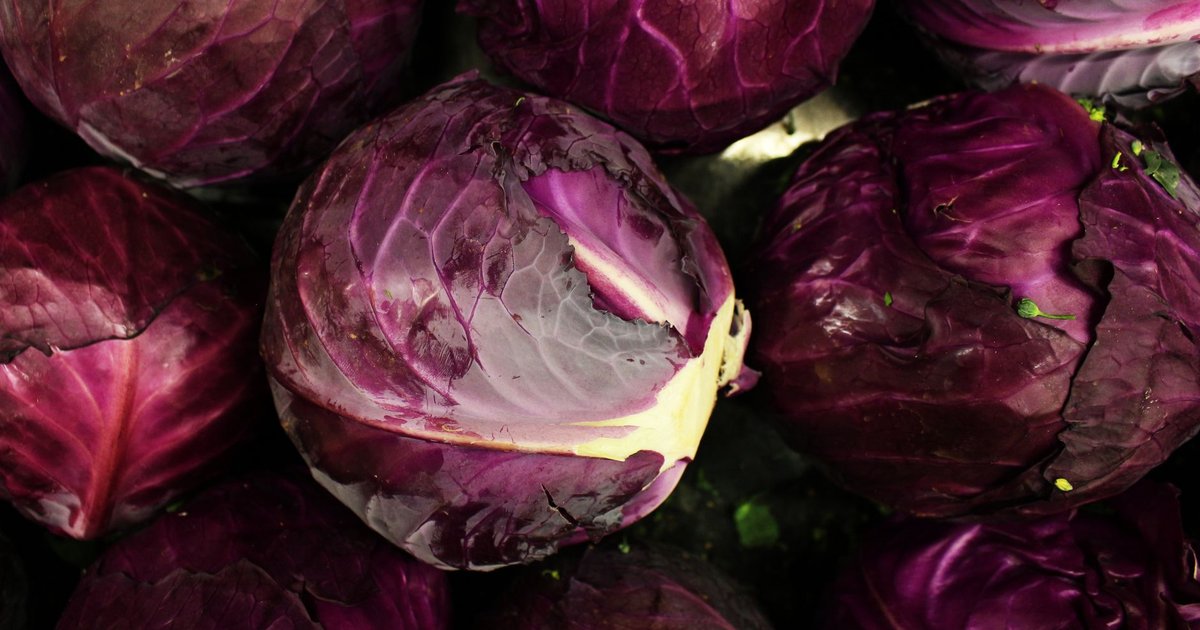 Cabbage storage guide — how long it lasts