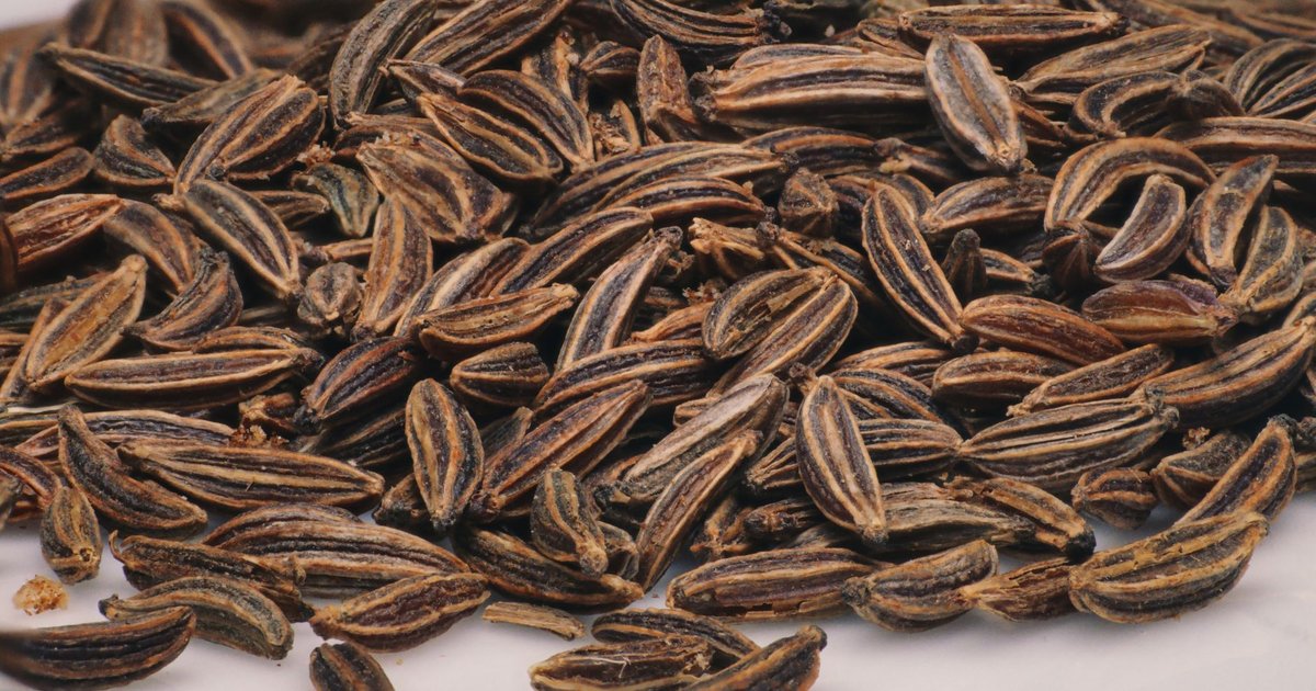 Caraway storage guide — how long it lasts