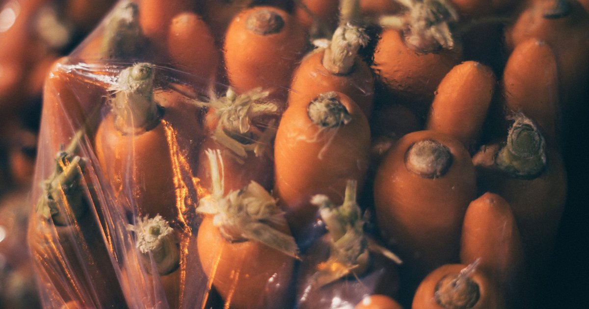 Carrots storage guide — how long it lasts