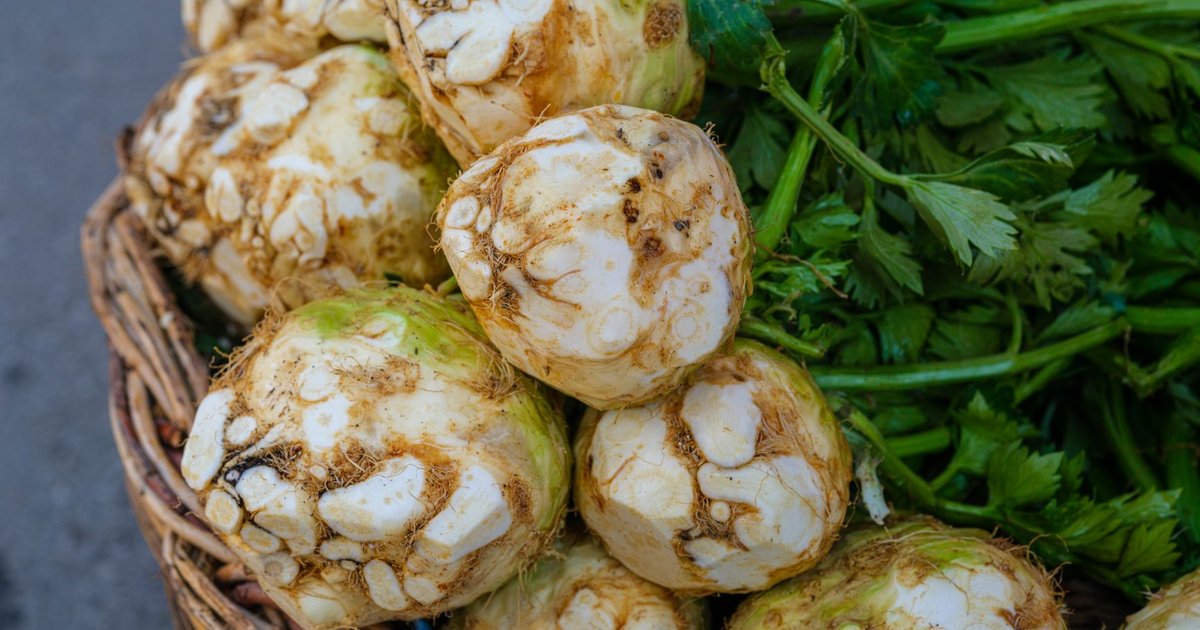 Celery root storage guide — how long it lasts
