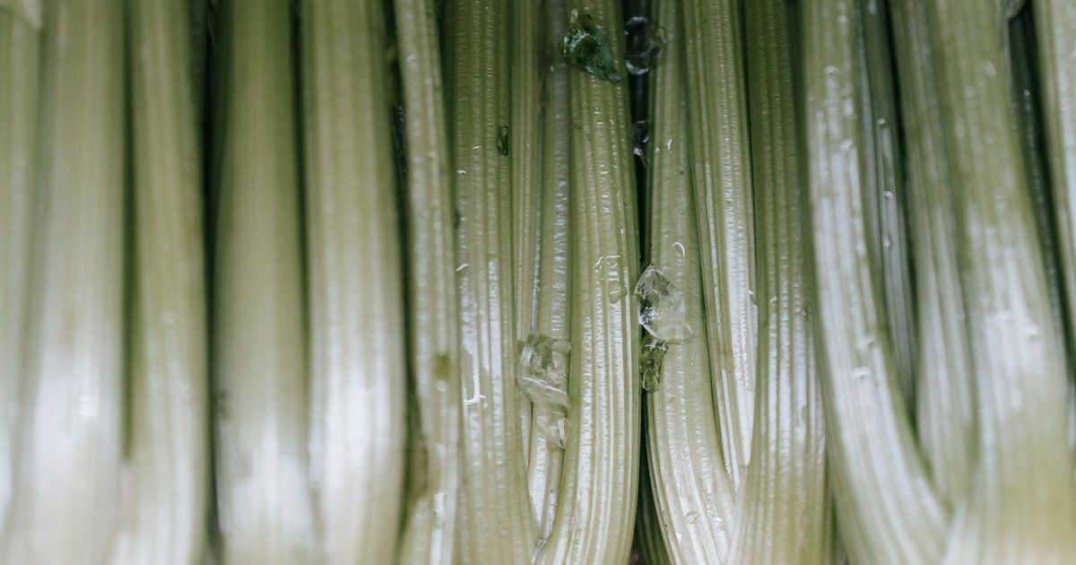 Celery storage guide — how long it lasts