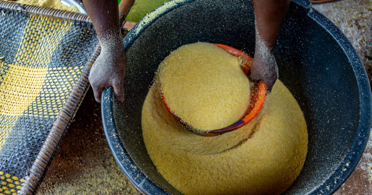 Corn flour storage guide — how long it lasts