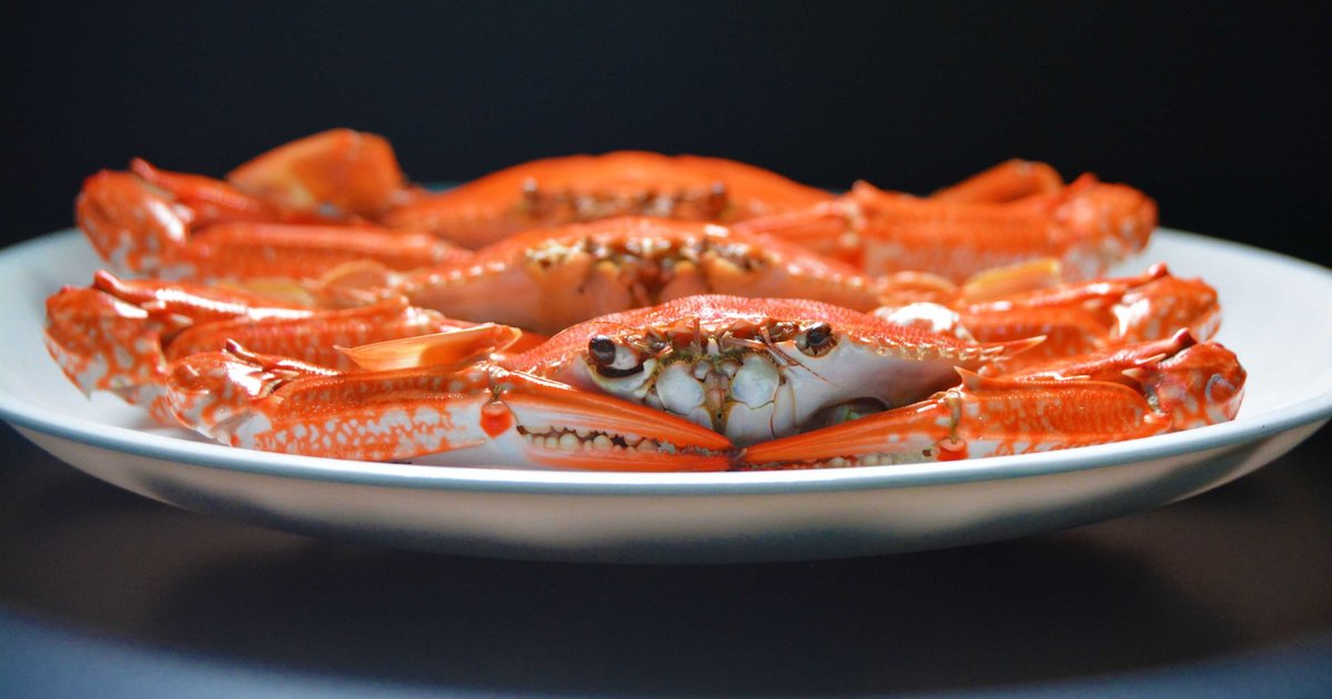 Crab storage guide — how long it lasts