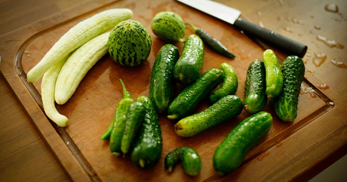 Cucumbers storage guide — how long it lasts