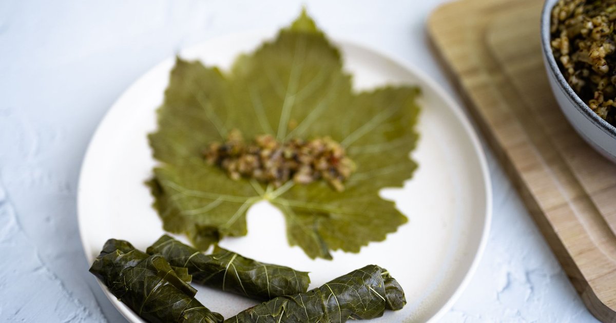 Dolma storage guide — how long it lasts