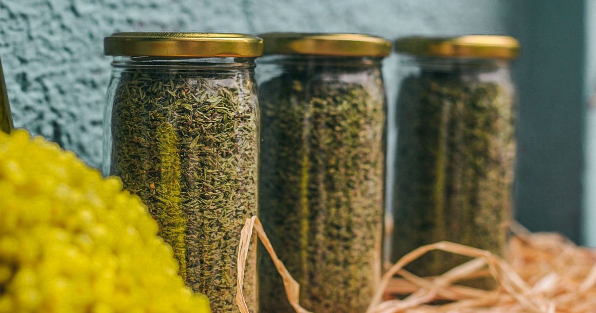 Dried dill storage guide — how long it lasts