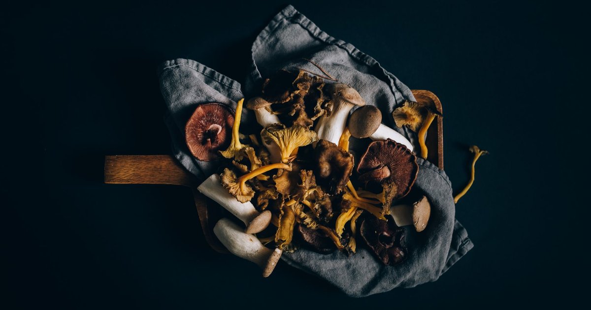 Dried mushrooms storage guide — how long it lasts