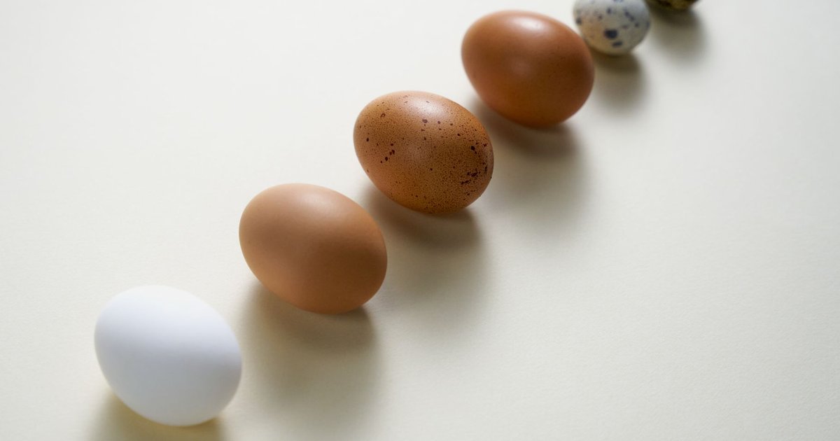 Duck eggs storage guide — how long it lasts