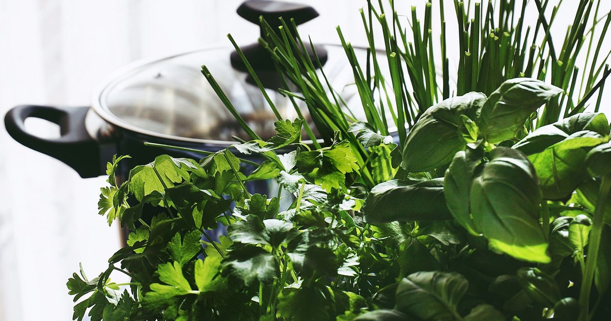 Fresh herbs storage guide — how long it lasts