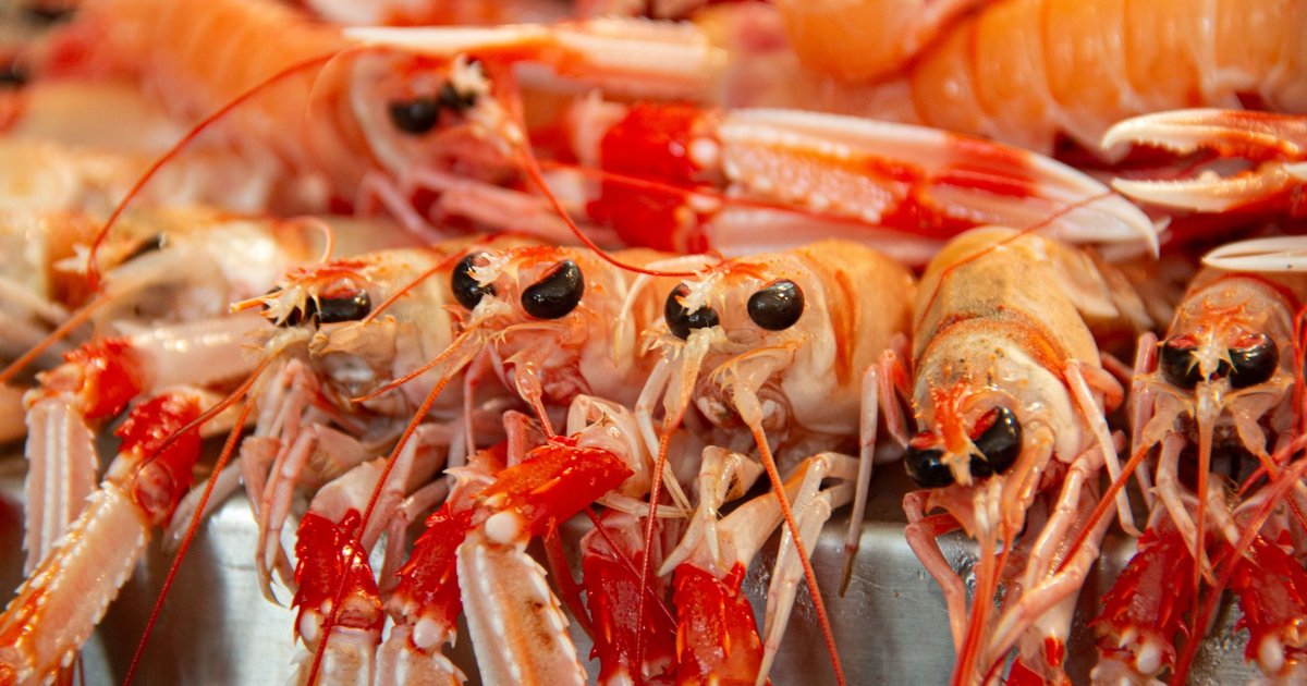 Langoustine storage guide — how long it lasts