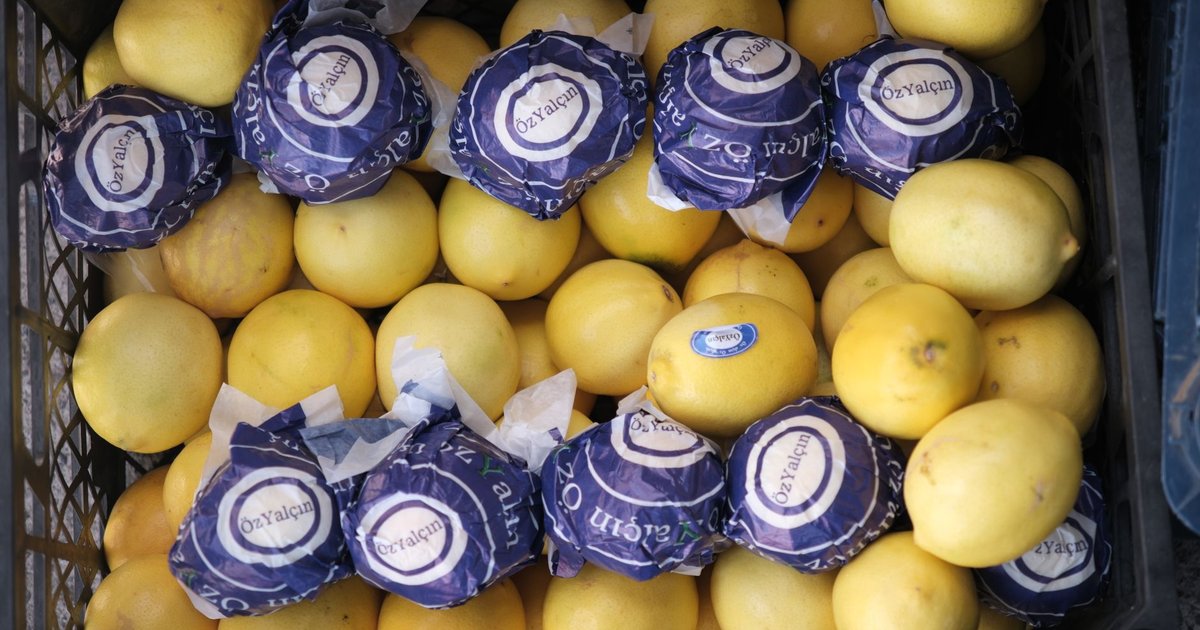 Lemons storage guide — how long it lasts