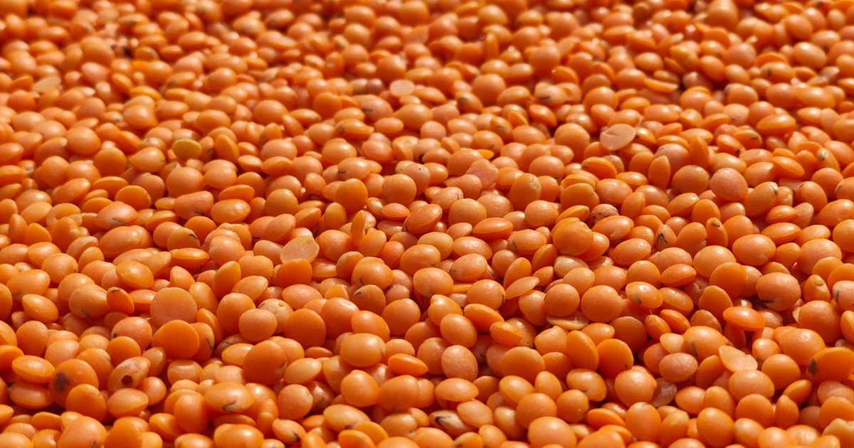 Lentils storage guide — how long it lasts