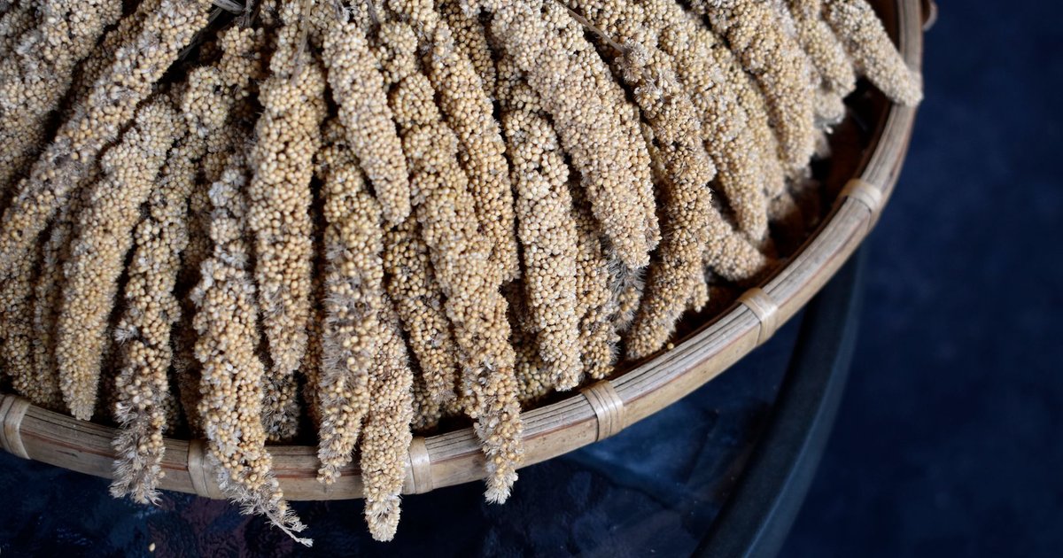 Millet storage guide — how long it lasts