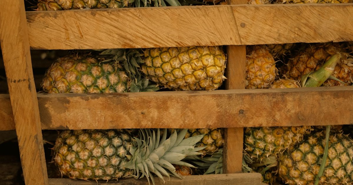 Pineapple storage guide — how long it lasts