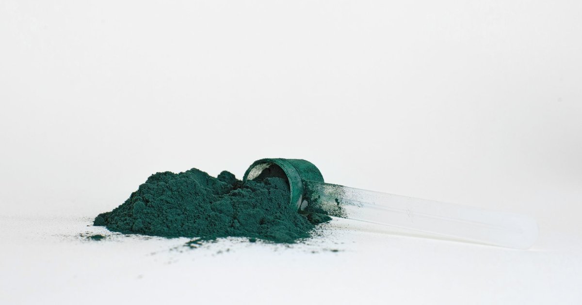 Plant protein storage guide — how long it lasts