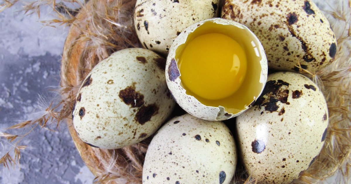 Quail eggs storage guide — how long it lasts