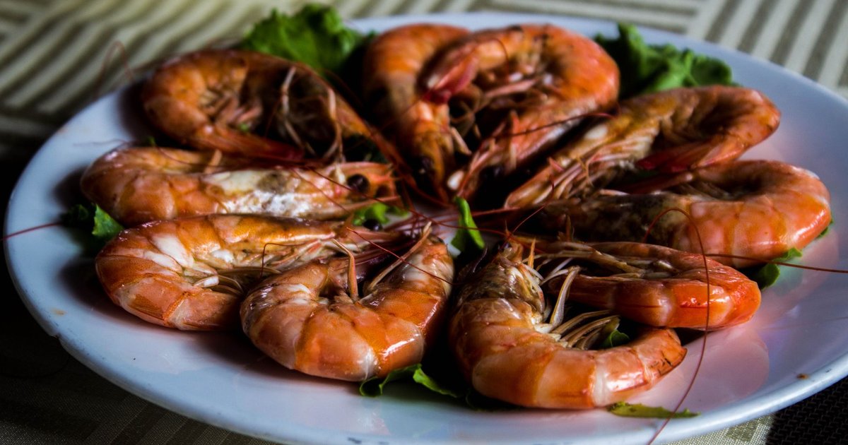 Shrimp storage guide — how long it lasts