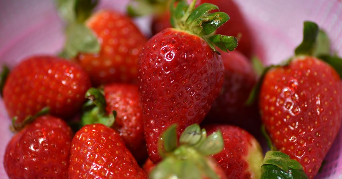 Fruits & berries storage guide