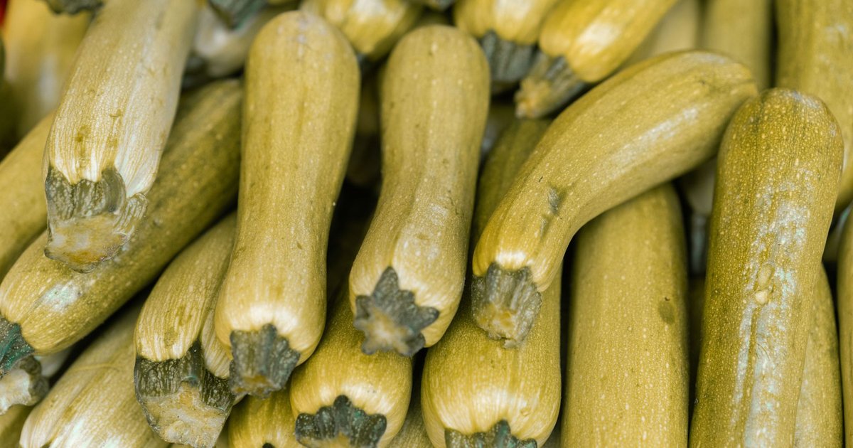 Zucchini storage guide — how long it lasts